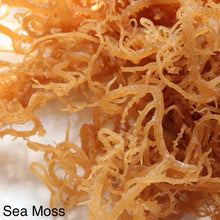 Load image into Gallery viewer, Irish Sea Moss, Bladderwrack, &amp; Burdock Root - Organic
